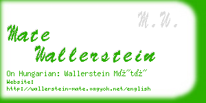 mate wallerstein business card